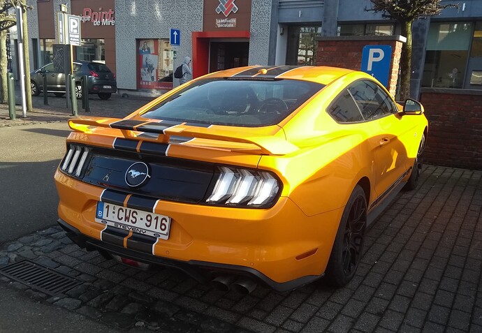 IMG_20240129_111415356