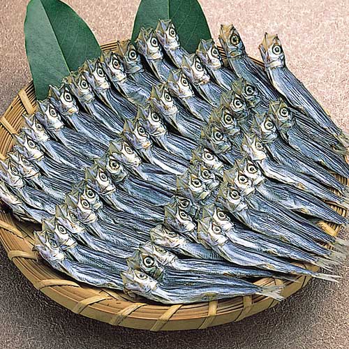 sardines2