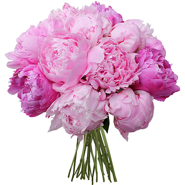 bouquet-merveilleuses-pivoines-full-22014