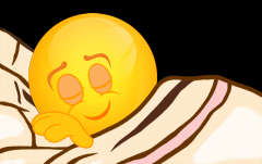 dodo