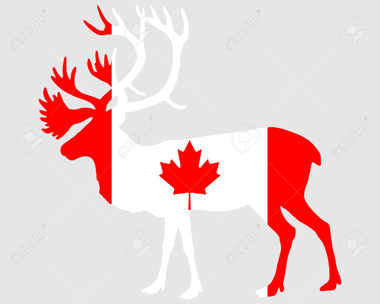 7185349-Canadian-caribou-Stock-Vector