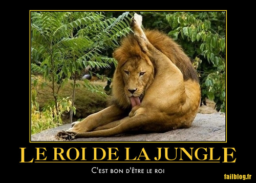 fail-roi-jungle