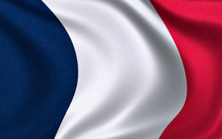 french-flag-waving-animated-gif-6